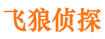 汪清市私家侦探